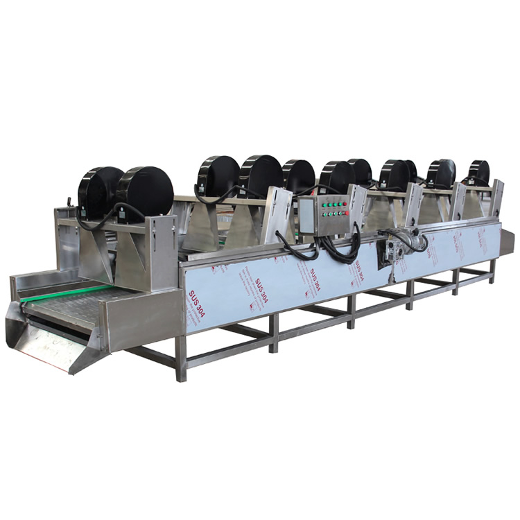 Fully automatic green tea moringa leaf vegetable fruit dryer cabbage drying machine